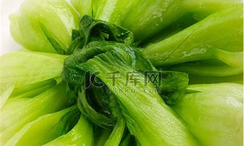  菠菜注册：菠菜网址